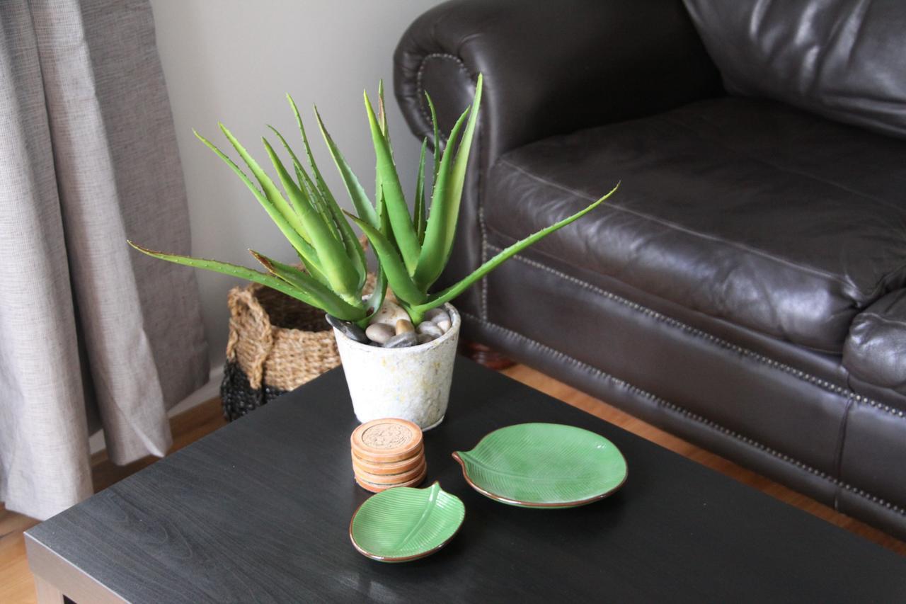 Paperbark Bed & Breakfast Brisbane Luaran gambar